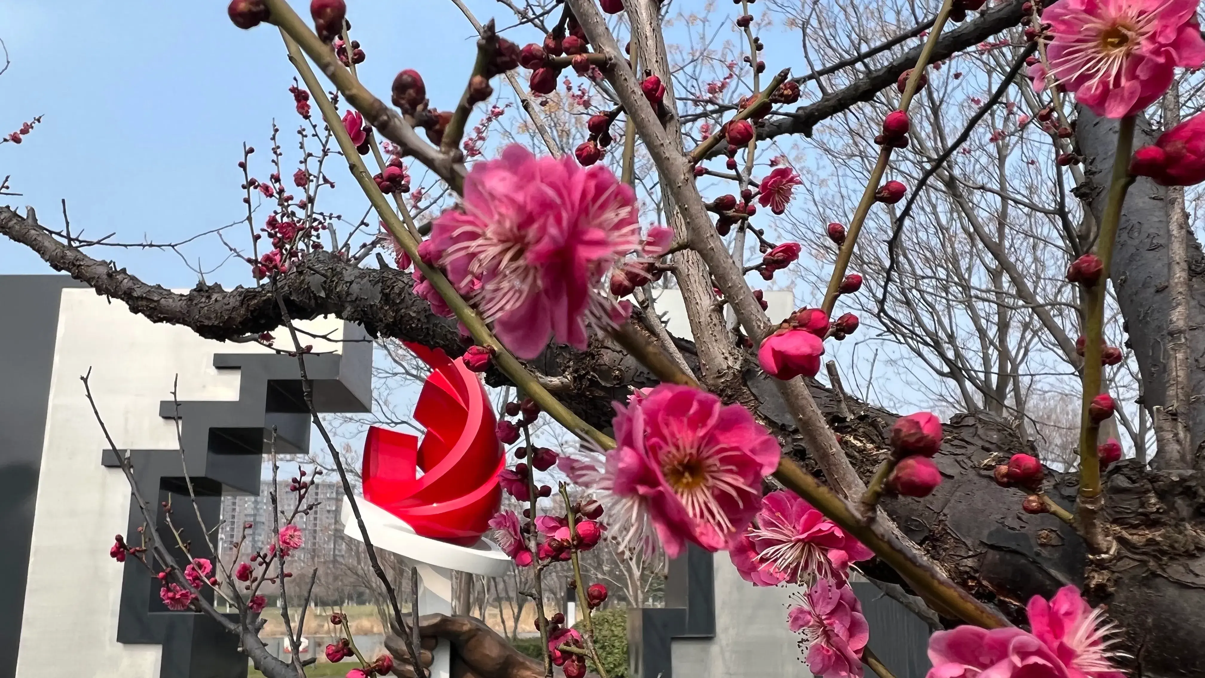 臣不胜受恩感激的胜是什么意思_臣不胜受恩感激的感激_臣不胜受恩感激感激古今异义