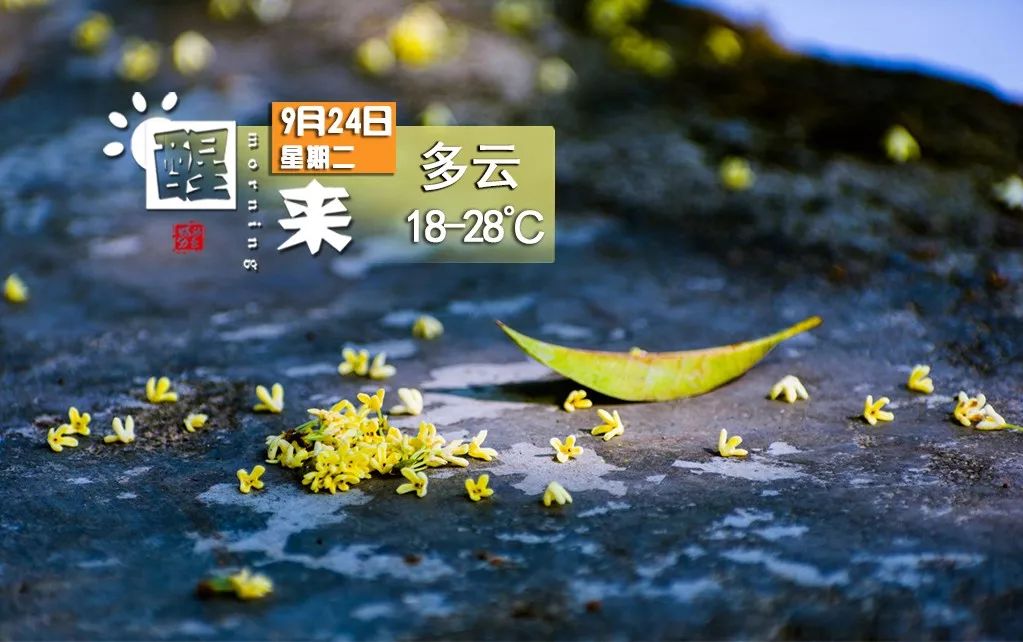 大申网_大申网_大申网