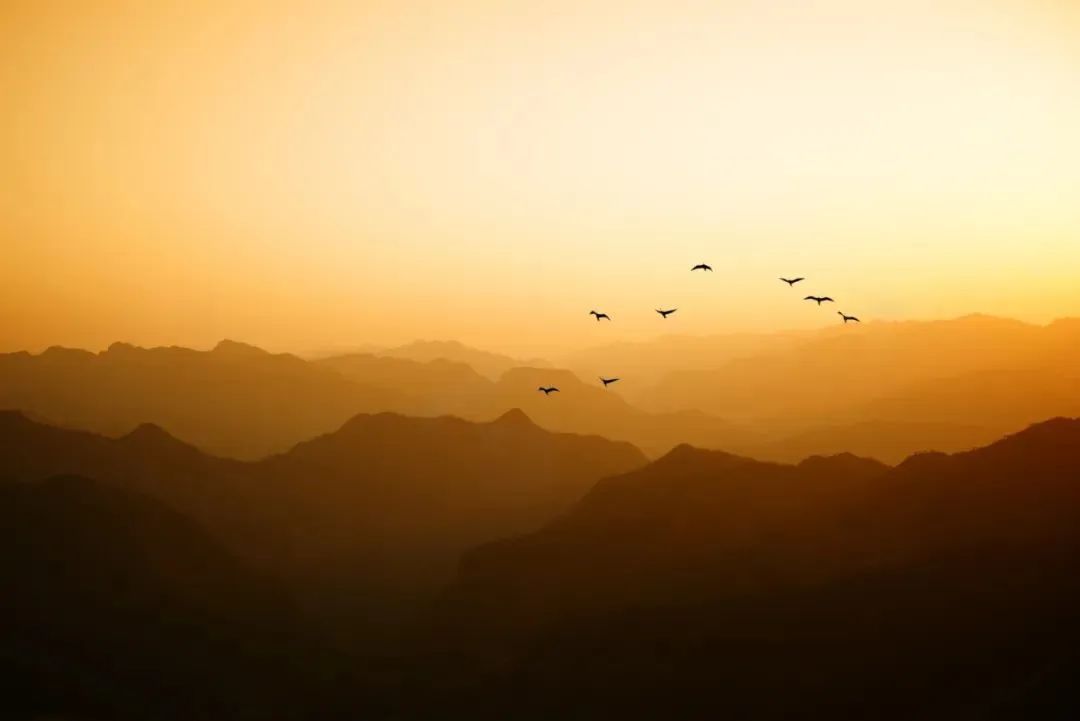 缱绻_缠绵缱绻_缠绵缱绻意思是什么
