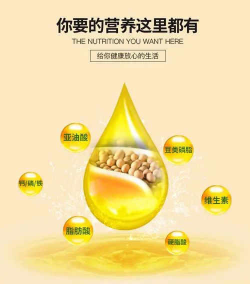 大豆拉丁文_拉丁文巨大的工艺_大豆拉丁名