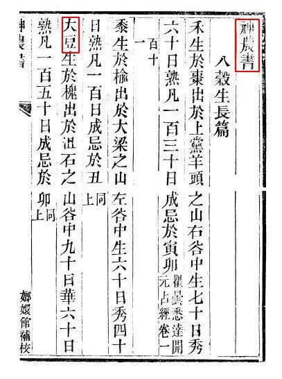 大豆拉丁文_大豆拉丁名_拉丁文巨大的工艺