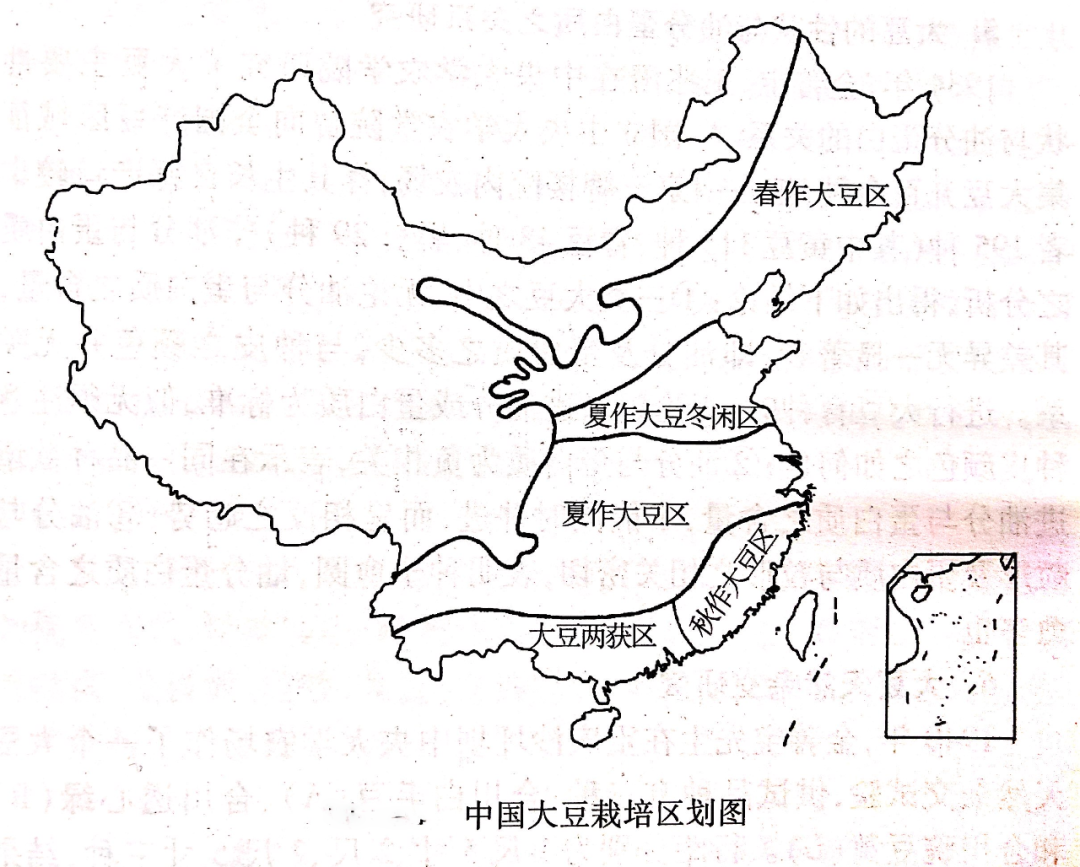 大豆拉丁名_大豆拉丁文_拉丁文巨大的工艺