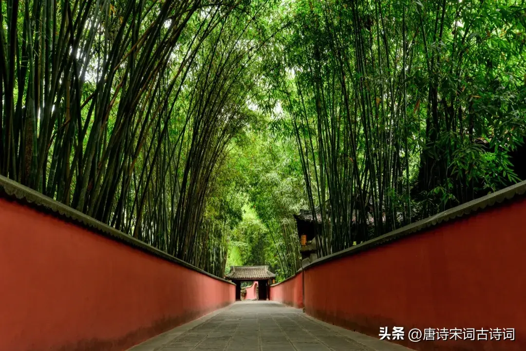 若到江南赶上春_赶上江南春未杳_江南赶上春千万和春住的意思