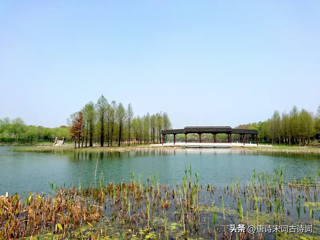 赶上江南春未杳_江南赶上春千万和春住的意思_若到江南赶上春