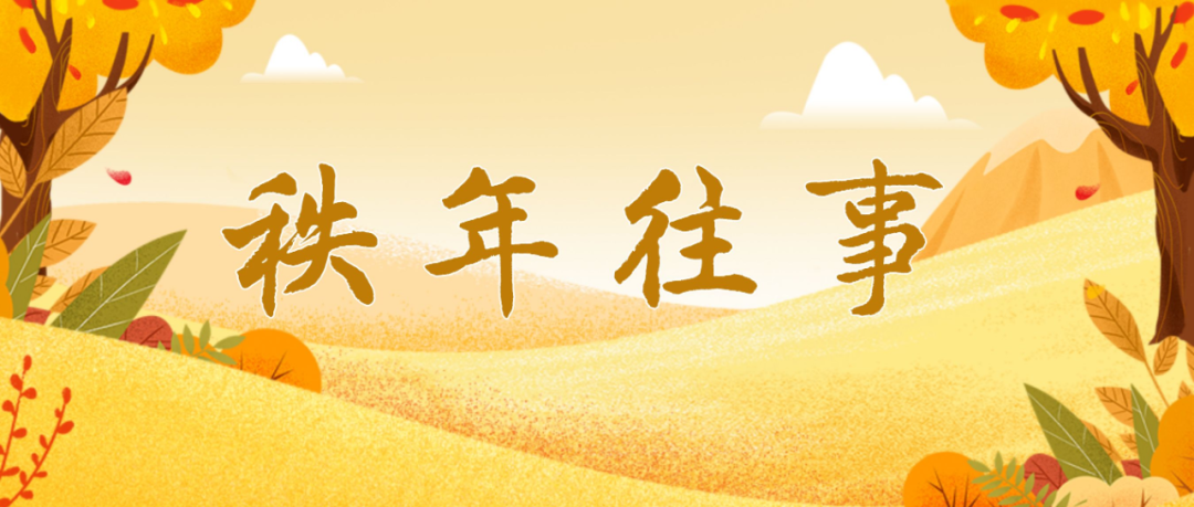 大豆拉丁名_大豆拉丁文_品种拉丁文