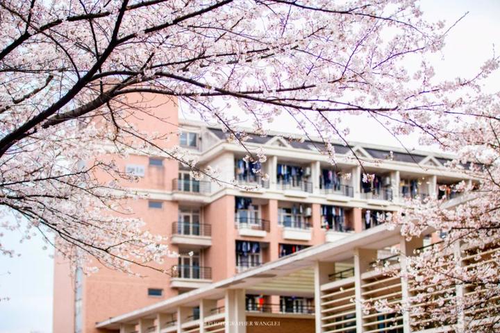 浙江大学本科招生网在线报名_浙大本科招生网_浙大本科招生网报名系统