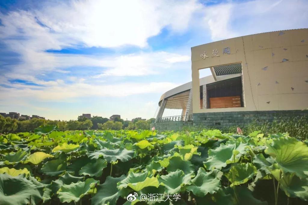 浙大本科招生网_浙大本科招生官网_浙江大学本科招生网在线报名