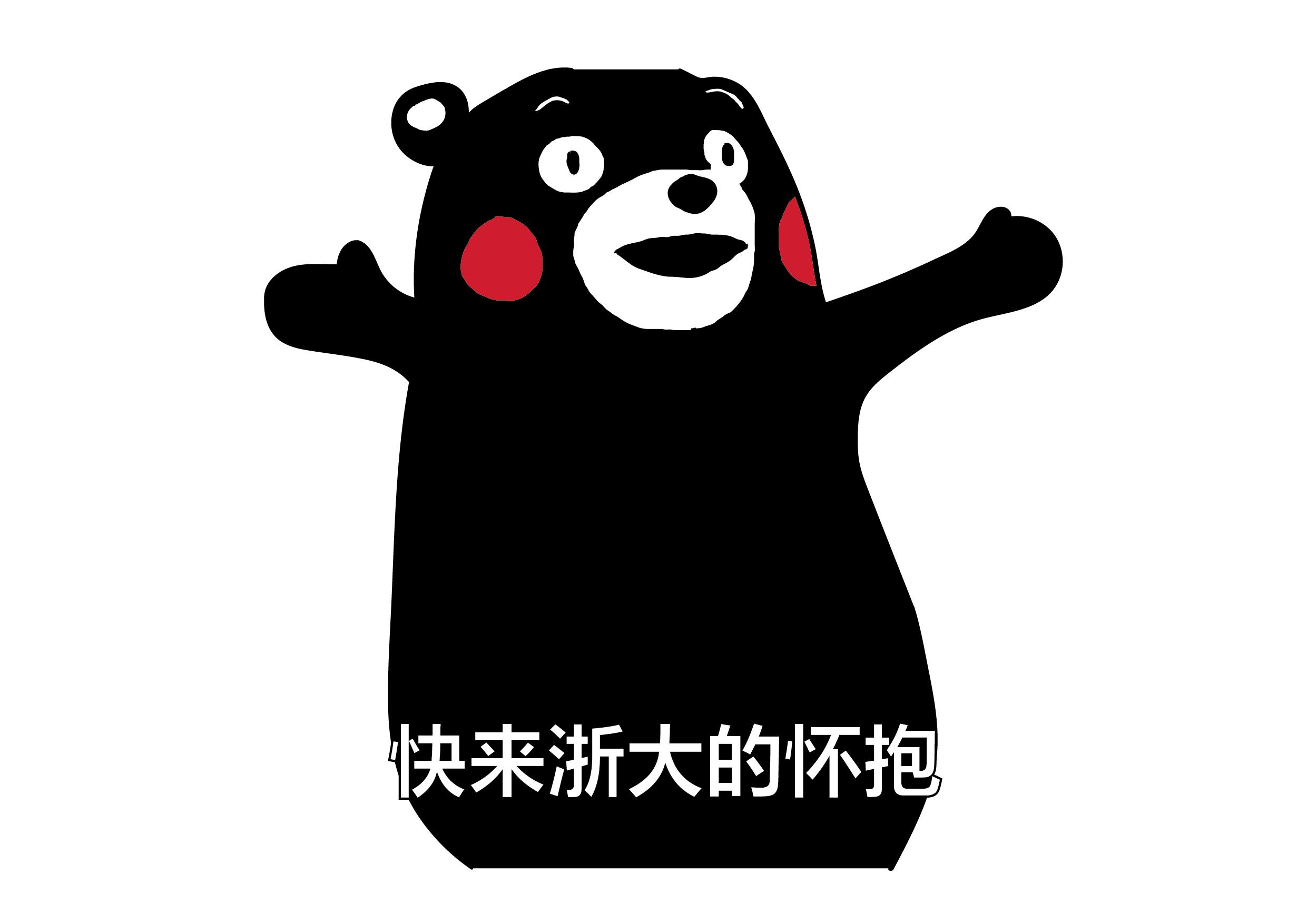 浙江大学本科招生网在线报名_浙大本科招生官网_浙大本科招生网