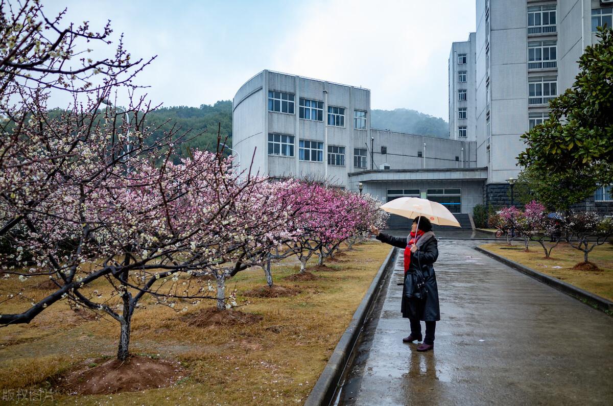 湖北二本学校_湖北二本学校最新排名理科_湖北二本学校有哪些大学