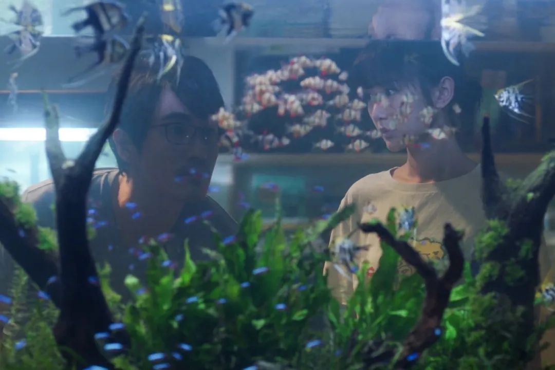 闺蜜电视剧大结局_老闺蜜剧情分集介绍_闺蜜电视剧剧情