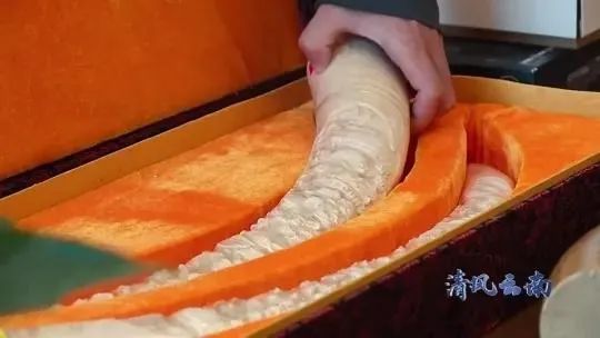 西南林业教务处官网_西南林业新教务系统_西南林业大学教务管理系统