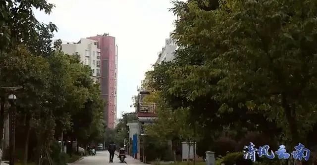 西南林业大学教务管理系统_西南林业新教务系统_西南林业教务处官网