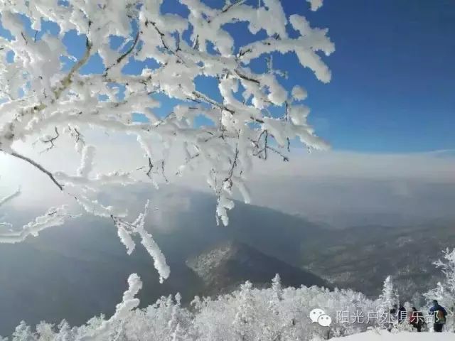 雪花飘电视剧全集剧情_雪花飘电视剧全集_雪花那个飘电视剧