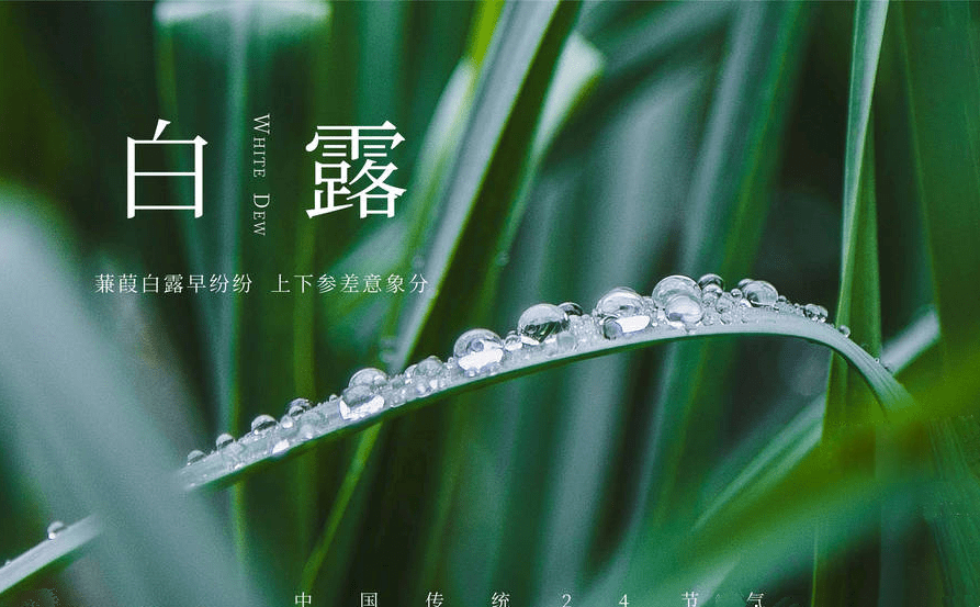 寓意白色的网名_白色的寓意_寓意白色的英文名