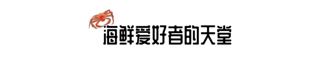 白玉螺_白玉螺_白玉螺