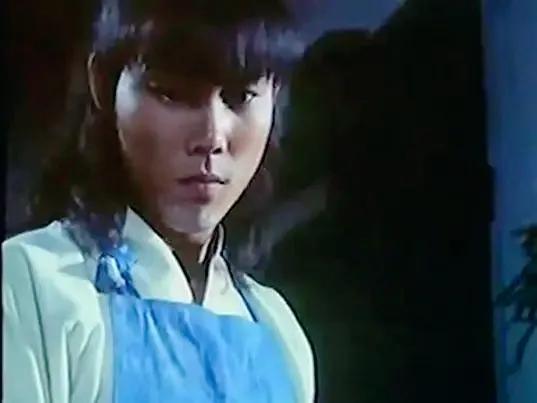 术士神传国语版_术士神传_术士神传1981