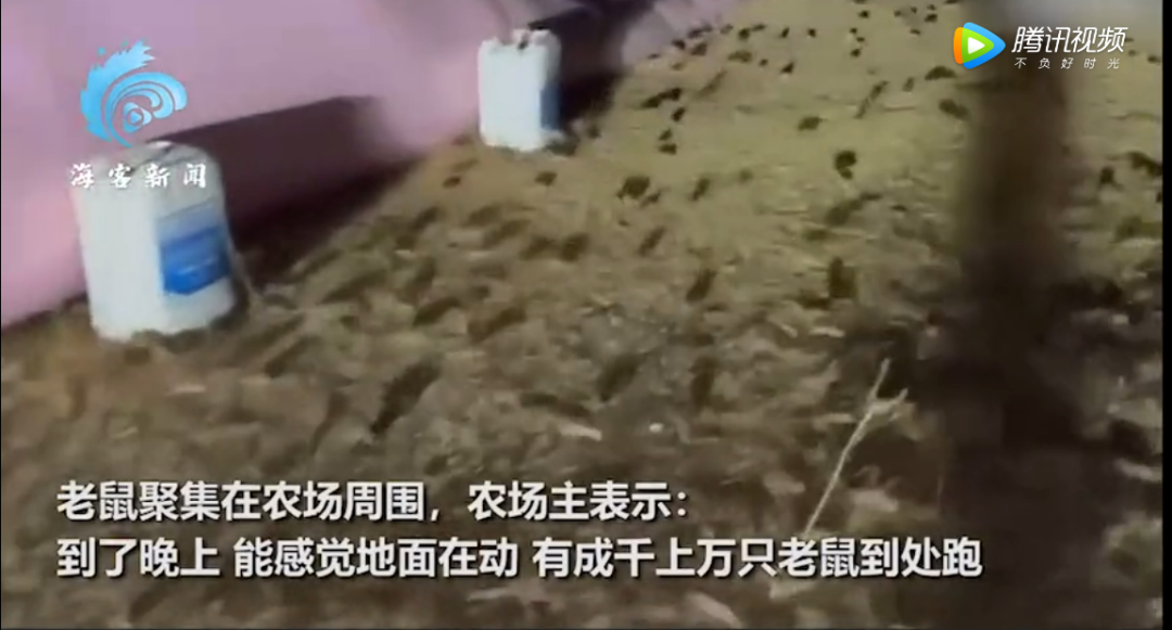浙江彩礼高吗_浙江彩礼全国最高海南最低_浙江彩礼