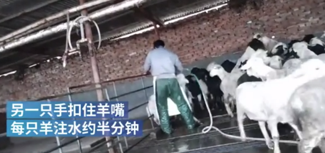 浙江彩礼高吗_浙江彩礼_浙江彩礼全国最高海南最低