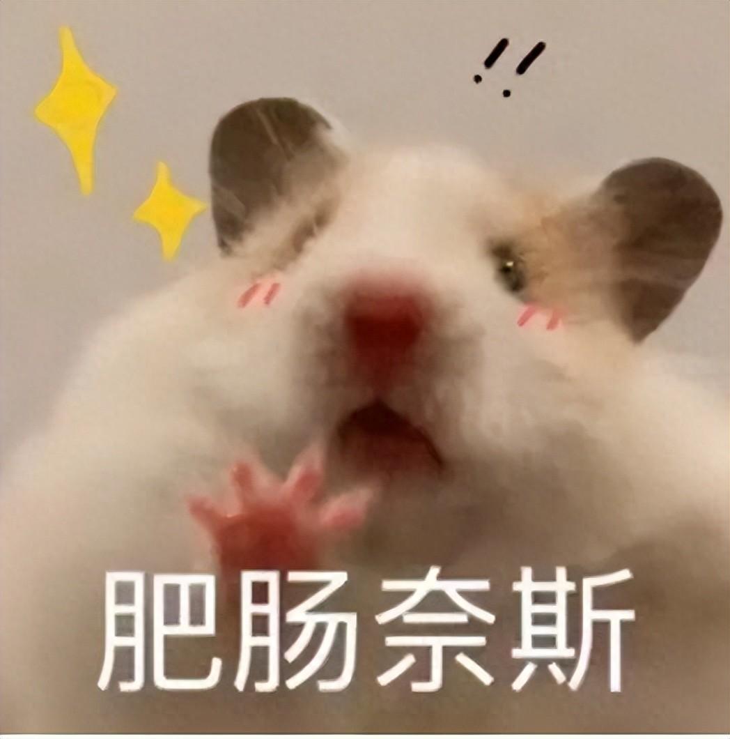 地质工程属于什么专业类别_地质专业属于工程类吗_地质工程属于什么类别