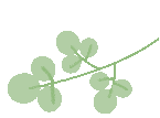 江西智慧作业app_江西省智慧作业_江西智慧作业登录平台