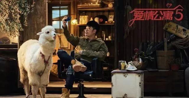 爱情公寓直播_直播爱情公寓的up主_爱情公寓之游戏主播