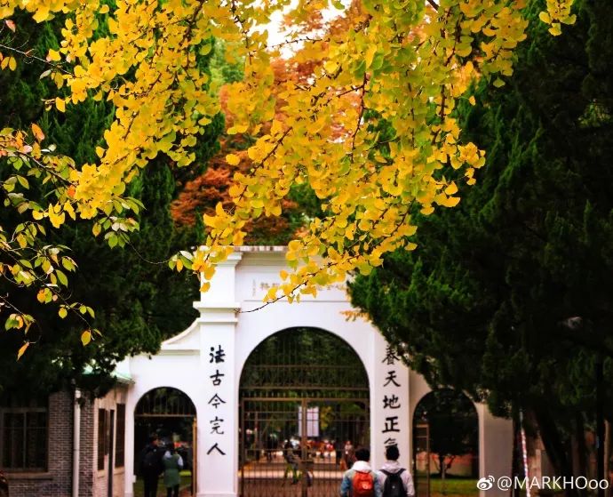 评估苏州学科大学的评价_评估苏州学科大学怎么样_苏州大学学科评估