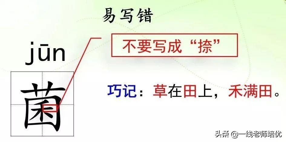 越组词怎么组_晒组词三年级上册_晒组词