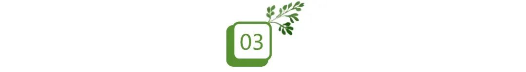 黄腔指的是什么意思_开黄腔是什么意思_开腔的意思是