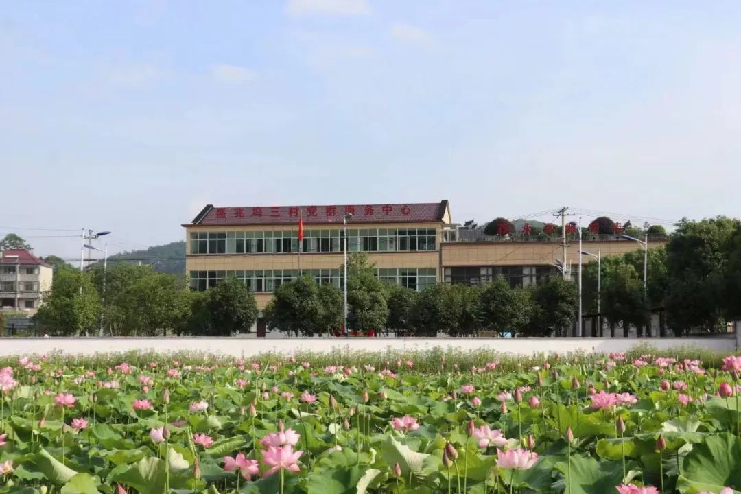 湖高中生综合素质评价登录入口_高湖_湖高旅高尔夫教育学院