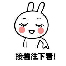 猇亭区政府网_猇亭政府官网_猇亭政府采购网