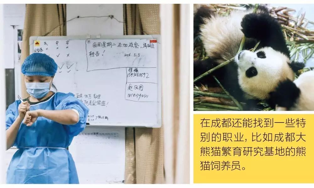 成都什么英语培训学校好_成都商务英语培训学校_成都商业英语培训哪家好