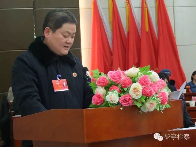 猇亭政府官网_猇亭区政府网_猇亭行政服务中心地址