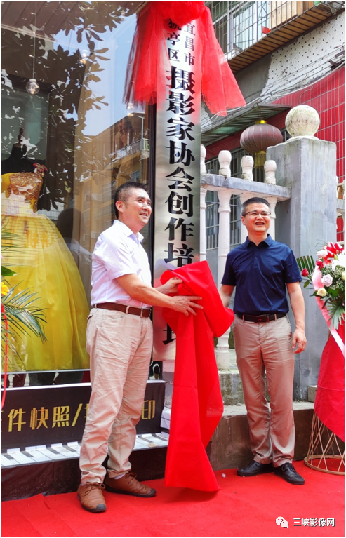 猇亭行政服务中心地址_猇亭区政府网_猇亭政府官网