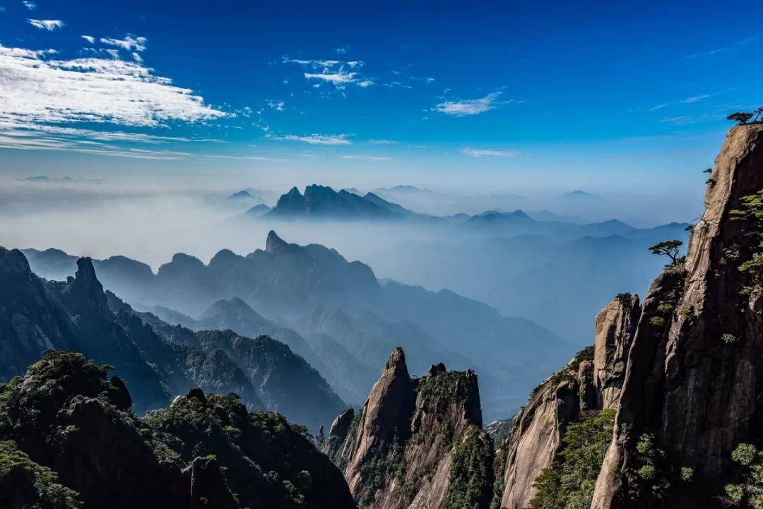 鍉_鍉怎么读_鍉针怎么读音