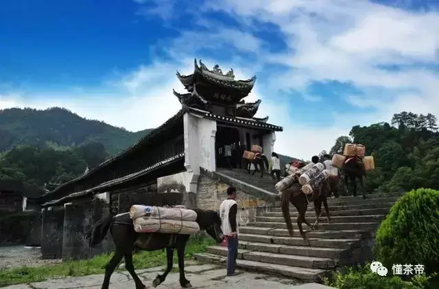 古道廋马_茶马古道路线图_马古茶道是什么意思