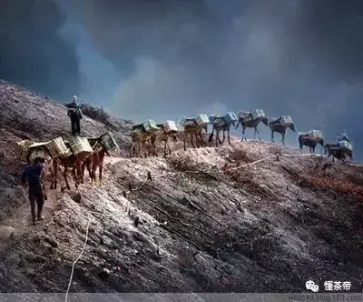 古道廋马_马古茶道是什么意思_茶马古道路线图