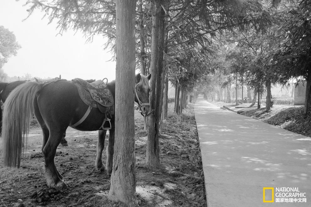 古茶马古道_茶马古道路线图_马古道是什么意思