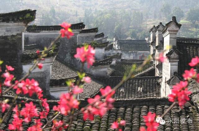 鍉针图片_鍉针_鍉
