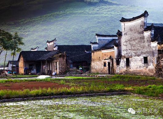 鍉针_鍉_鍉针图片