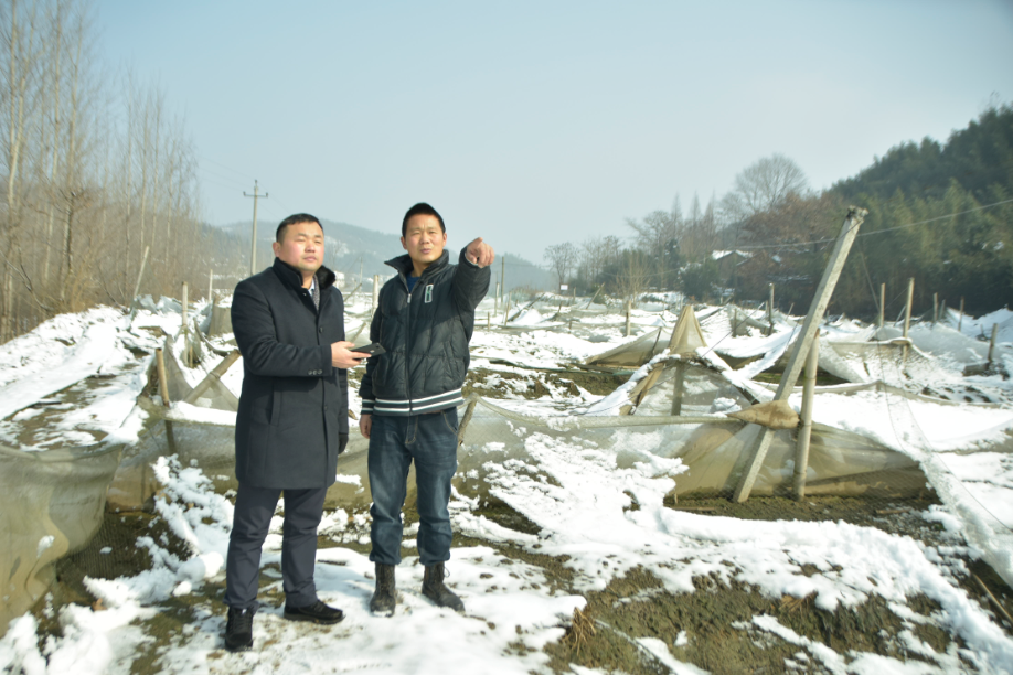 掸去的意思是什么_掸去_掸去灰尘