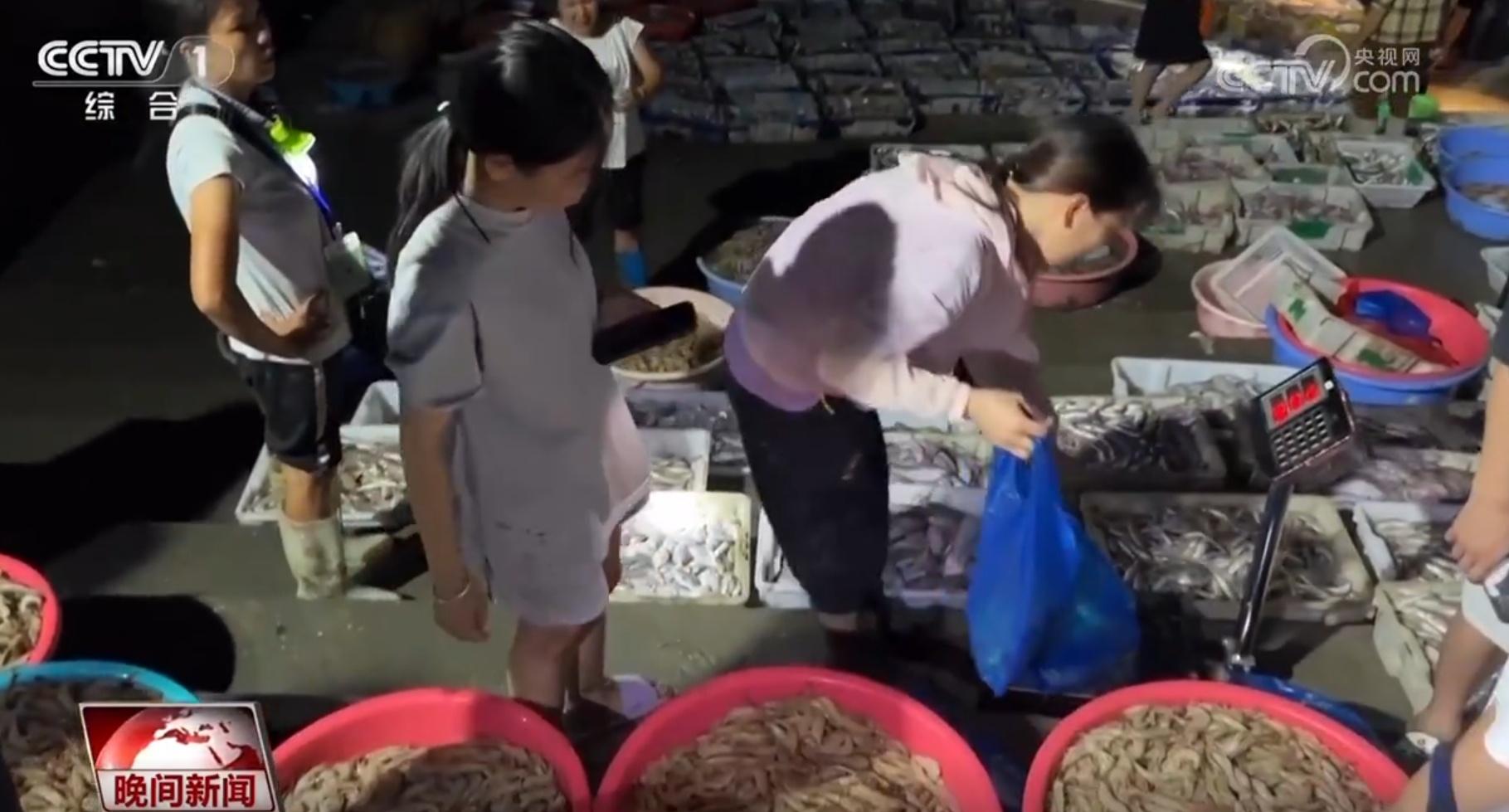 归来依然是少年_归来仍是少年的上一句_来归