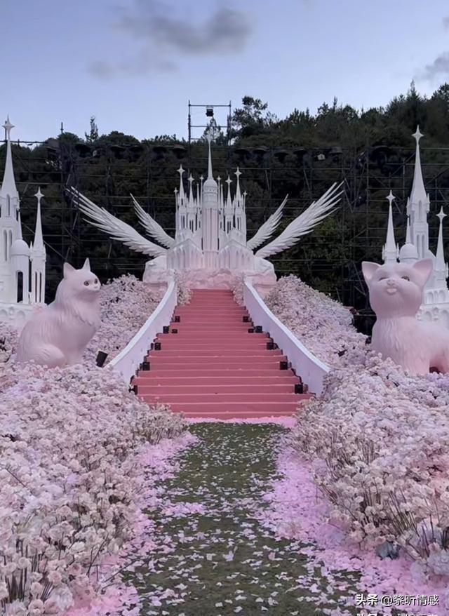 求婚戒指和结婚戒指是同一个吗_戒指求婚_求婚戒指算结婚戒指吗