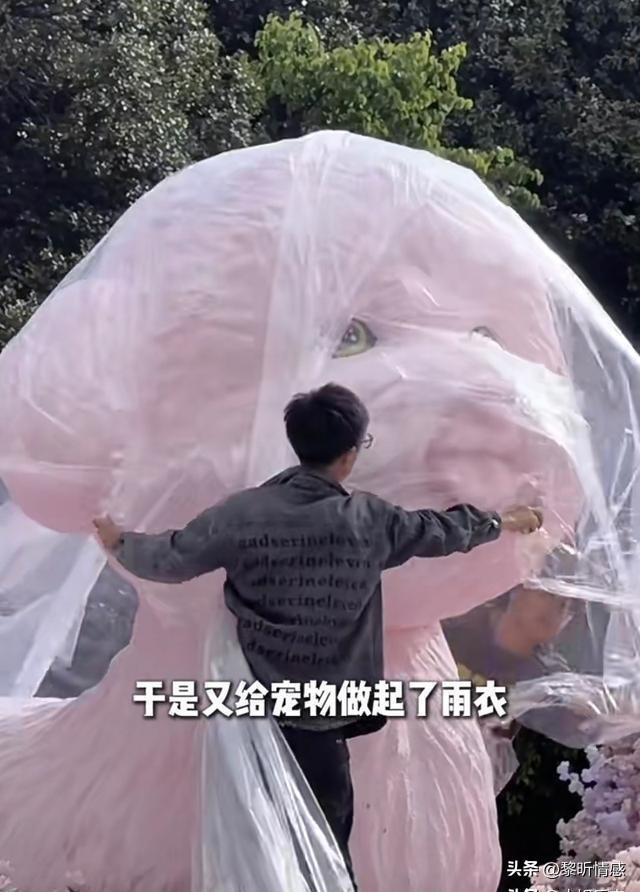 戒指求婚_求婚戒指和结婚戒指是同一个吗_求婚戒指算结婚戒指吗