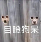 小作文的意思是什么_作文“小”_小作文是什么意思