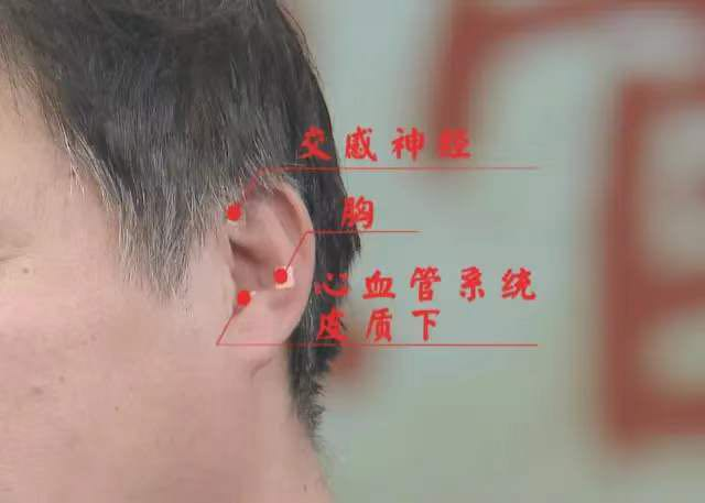 耳鼻喉科_耳_耳