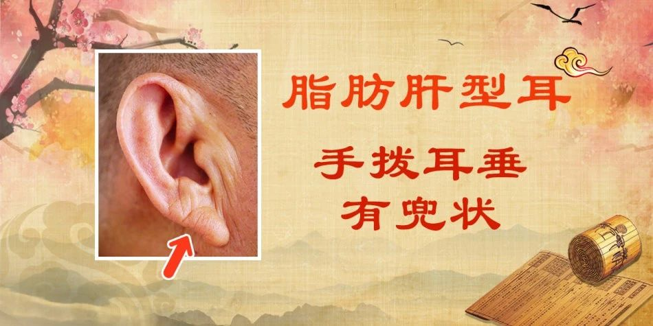 耳_耳_耳鼻喉科