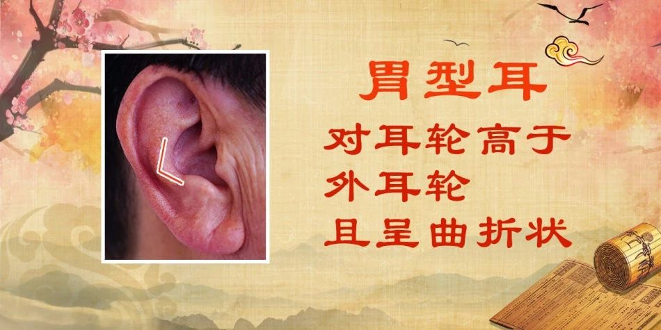 耳鼻喉科_耳_耳