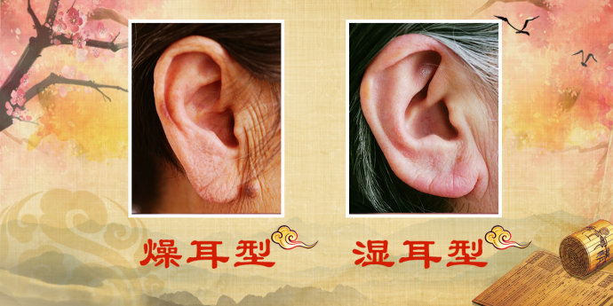 耳_耳_耳鼻喉科