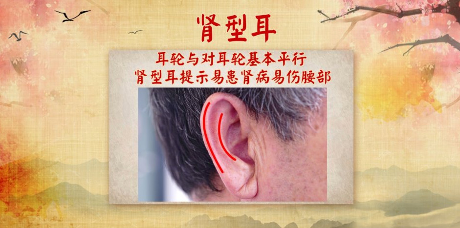 耳鼻喉科_耳_耳