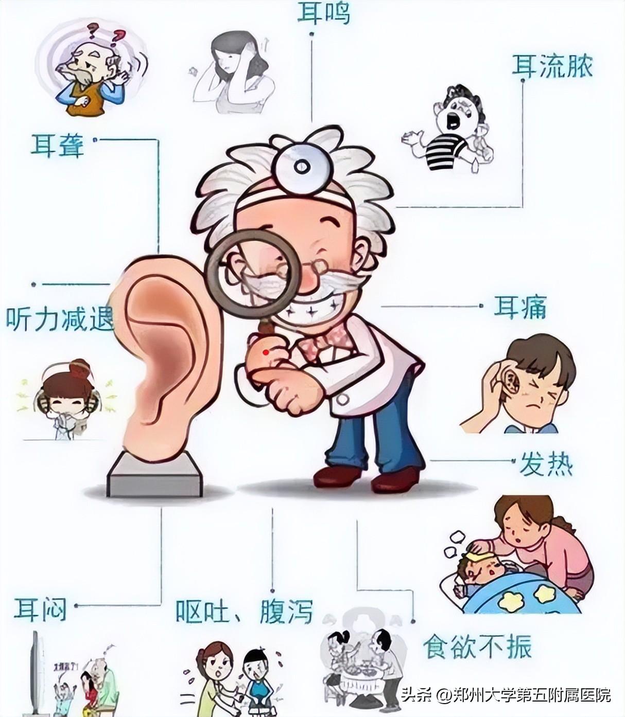 耳鼻喉科_耳_耳